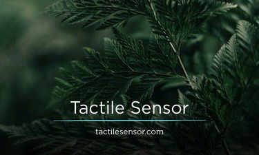 TactileSensor.com - Creative brandable domain for sale
